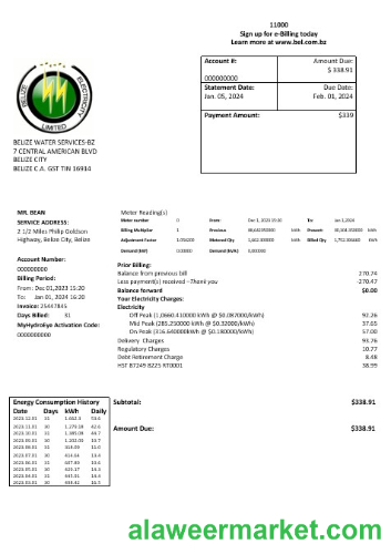 Belize Electricity Limited electricity business utility bill template in Word and PDF format